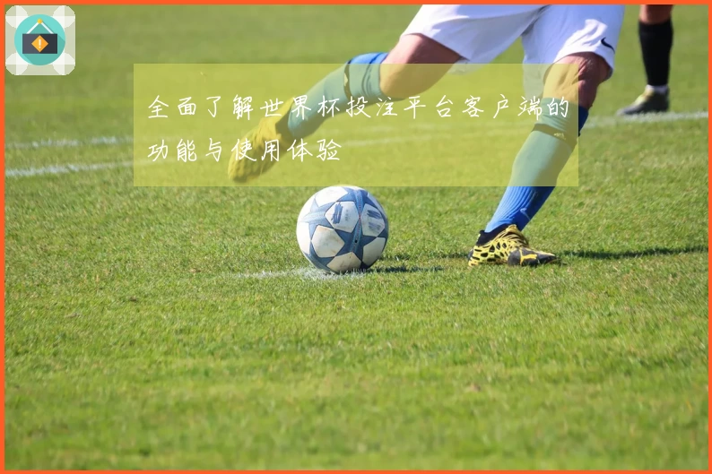 全面了解世界杯投注平台客户端的功能与使用体验