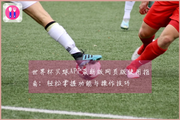 世界杯买球APP最新版网页版使用指南：轻松掌握功能与操作技巧